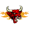 Stier