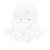 Bronko55 No.51 – Silverback