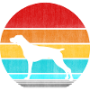 Pointer