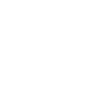 Wolfsspitz - Keeshond Chien