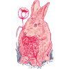 Pink Rabbit