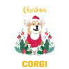 Corgi Christmas