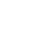 Cute cat in blinds