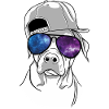 COOL DOG SUNGLASSES