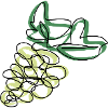 Lineart Grapes