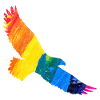 Rainbow Eagle Gift Idea