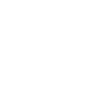 The Fennecs