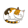 T-shirts de chat pyjama