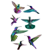 El vuelo de los colibrís