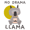 NO DRAMA LAMA
