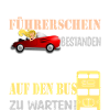 Führerschein bestanden