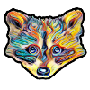 Racoon
