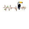 Toucan heartbeat bird