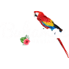 Nassau Bahamas