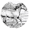 Cheval