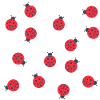 Ladybugs