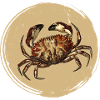 Crab