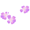 Love, Liebe