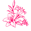 Lily Blossom Plant