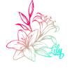 Lily Blossom Plant