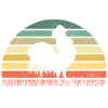 Chicken Chicken