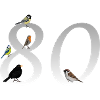 80e anniversaire oiseau-ami oiseau cadeau