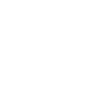 Badminton Sport