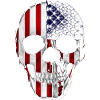 Skull America Flag