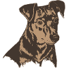 Tête de chien