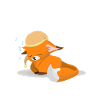 Fuchs Schlafshirt Pyjama