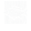 3D Lines Carp