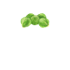 Everyday I’m Brusselin', brussel sprout