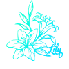 Lys fleurs plante