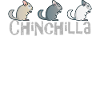 CHINCHILLA I Love Animals Cuddly
