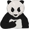 Mürrischer Pandabär mit Mittelfinger