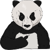 Mürrischer Pandabär with middle finger