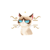 Grantln Is A Lifestyle