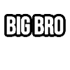 Big Bro - Big Brother