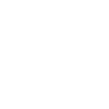 Deutsch Drahthaar Evolution Drahthaar Geschenk