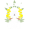 Cannabis Ganja Haschisch