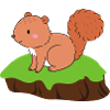 Squirrel