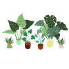 Plantaholic Gardener