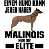 Belgian Malinois Agility Schutzhund
