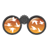 Ornithologie Ornithologie Oiseaux