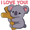Koala I Love you
