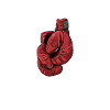 Boxe Boxer Boxer