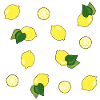 summery fresh lemon pattern