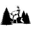 Chamois