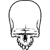 skull skull