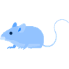 Urban - mouse